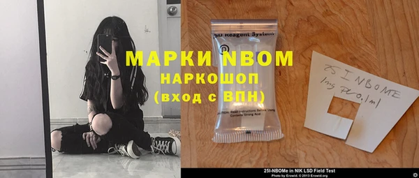 PSILOCYBIN Алзамай