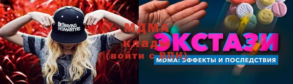 PSILOCYBIN Алзамай