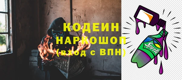 PSILOCYBIN Алзамай