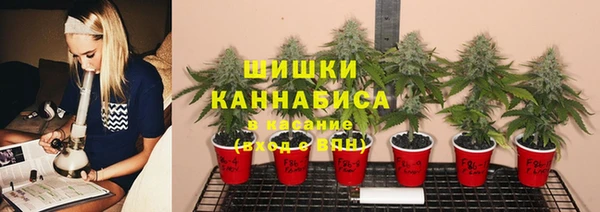 PSILOCYBIN Алзамай