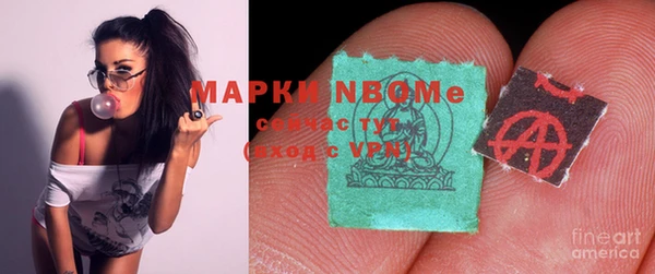 метадон Алексин