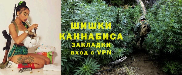 PSILOCYBIN Алзамай